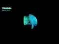 TOMORA - What Do We Got