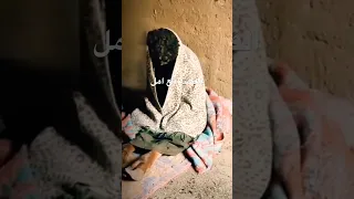 السلعوه ظهرت من جديد كذب ام حقيقه 