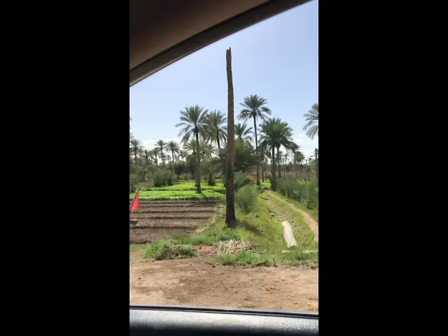 ⁣مزارع شط الكوفة - النجف - العراق