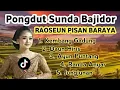 Lagu Sunda Bajidor Daun Hiris || Ayun Puntang Dangdut Bajidor Full Album Terbaru Viral Di Tiktok