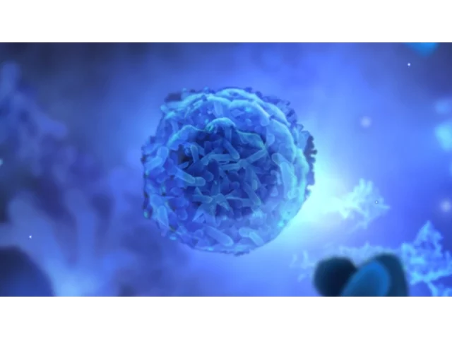 "Inside Me" trailer