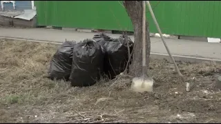 В Омске сегодня начался месячник благоустройства