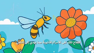 علوم ٥ الفصل ١ ٢ ٥ التلقيح ٢ ٥ استقصاء التلقيح 