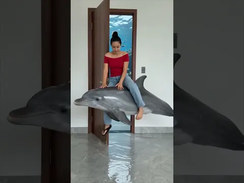 The dolphin swam over to carry Hana