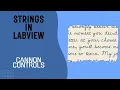 String Data Type in LabVIEW