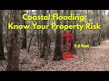 FEMA Flood Maps Access Download Print