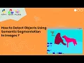 semantic segmentation in images How to detect objects in images using Pixellib Python and OpenCV
