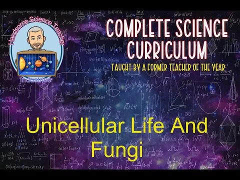 Download MP3 Unicellular Life And Fungi