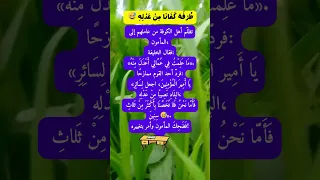 من نوادر المأمون ع د ل أ ث ق ل أ ه ل ه قصص تاريخية قصص الخلفاء نوادر 