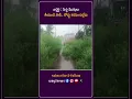Download Lagu ఎచ్చెర్ల : పిచ్చి మొక్కలు తీయండి సార్.. రోడ్డు కనిపించట్లేదు