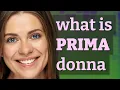 Prima donna meaning of Prima donna