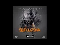 Stilo Magolide - Sefolosha Ft. TruHitz (Audio)