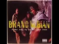 Brand Nubian - Punks Jump Up To Get Beat Down (clean)