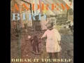 Andrew Bird - Give It Away