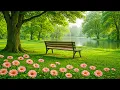 Download Lagu Prachtige ontspannende muziek voor hart en bloedvaten 🍃 Geweldige helende muziek voor de ziel #3