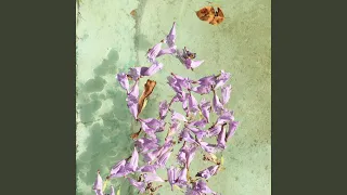 دیور دندنها
