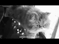 You Never Know | Yelhomie | Tonsing | NRK | Official Video