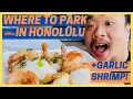 The Tourist Guide to Parking in Honolulu Hawaii and Awesome Garlic Shrimp Plate Lunch