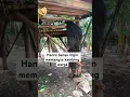 🔴HANTU BANYU MAKAN KAMBING WARGA
