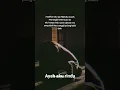 Download Lagu alfatihah buat ayah.semoga di beri tempat yang istimewa di samping Allah amin🤲😭