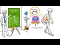 Chiropractor Raleigh NC Spinal Decompression Therapy in Raleigh NC 27615