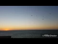 DOUZI - LMOUJA ( Cover BY RHOUDDANI ISLAM )