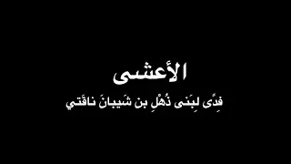 الأعشى   فدى لبني ذهل   بصوت فالح القضاع دندنها