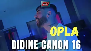                                   دندنها