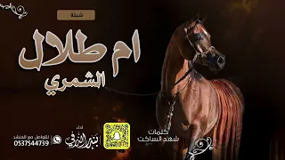 شيلة ام طلال الشمري كلمات شهد الساكت اداء بندر الذرفي 