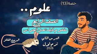 الدرس الثاني علوم الصف الرابع الابتدائي مفهوم كيف تعمل الحواس رابعة ابتدائي مستر محمد ابراهيم 2026 