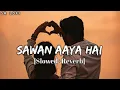 Lagu Sawan Aaya Hai [Slowed+Reverb] - Arijit Singh | Music lovers |Sr lofi |