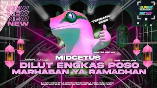 dj tjap tasso dilut engkas poso mid cetus clarity yang kalian cari cari 2026 amir discjokey