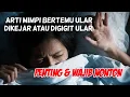 Arti Mimpi Bertemu Ular || Mimpi Dikejar atau Digigit Ular || Wajib Tahu \u0026 Penting