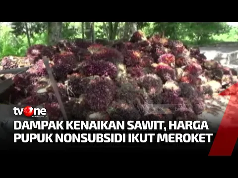 Tak Hanya Minyak Goreng, Naiknya Harga Sawit Berimbas  Pada Harga Pupuk