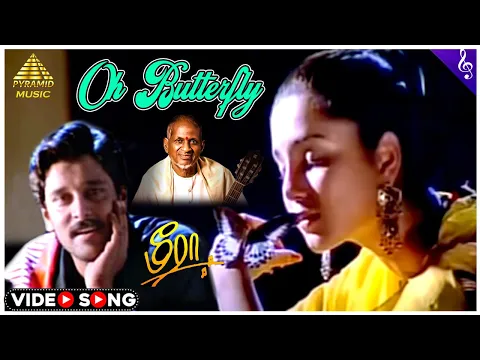 Oh Butterfly Butterfly - YouTube