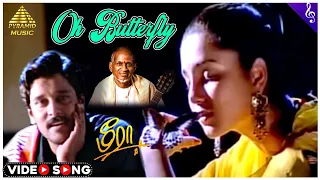 o butterfly video song meera tamil movie songs vikram aishwarya ilaiyaraaja pyramid music