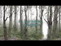 MAYLE - one day (Lyric Visualizer)