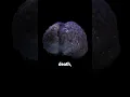 Download Lagu Your brain still works after death