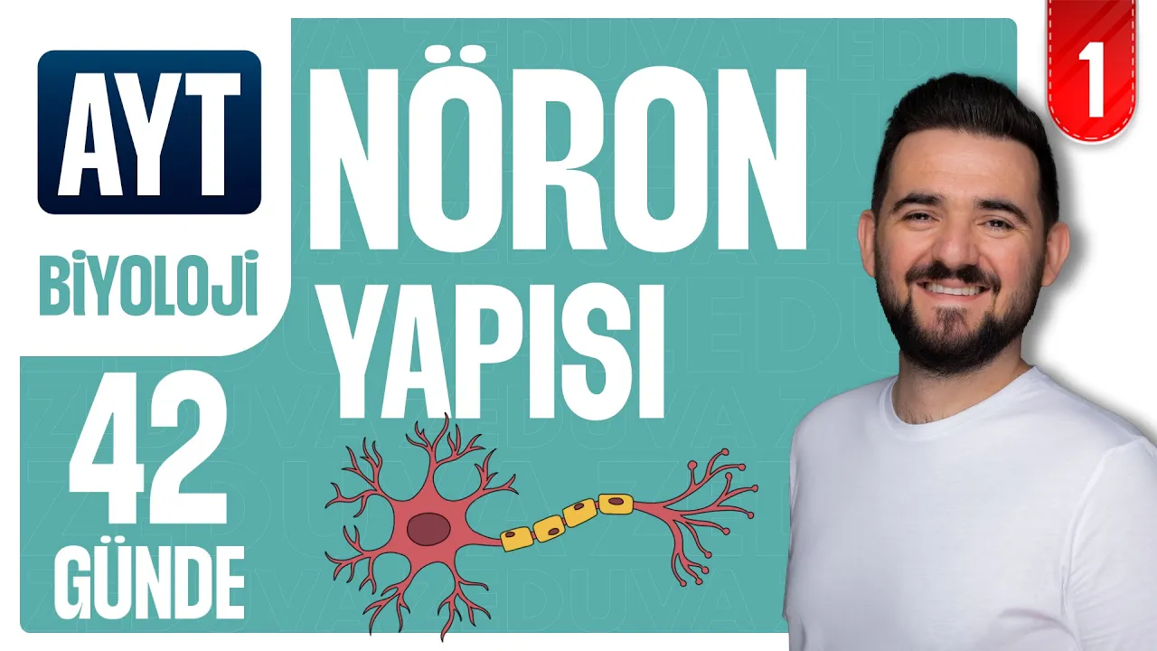 Nöron Yapısı ve İmpuls İletimi | 42 GÜNDE AYRINTILI AYT BİYOLOJİ KAMPI 2026-2027 | 1.GÜN