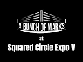 A Bunch of Marks at Squared Circle Expo V