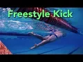 Freestyle kick technique Swimming front crawl Improve your position