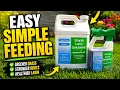 STOP Ignoring This Lawn Fertilizer - It Works INSANELY Fast
