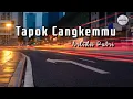 Download Lagu Arlida Putri - Tapok Cangkemmu (Lyric)