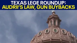Texas Legislature roundup Audrii s Law gun buyback ban FOX 7 Austin