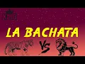 Download Lagu Manuel Turizo - La Bachata (Letra/Lyrics) | Karol G, Bad Bunny, Shakira