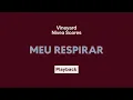 Vineyard e Nivea Soares - Meu Respirar | Playback com Letra