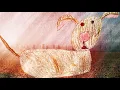 Negativland - This Is Not Normal