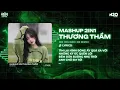 Lagu Mashup 2in1: Thương Thầm x Có Duyên Không Nợ • Cô Đơn Lênh Đênh Theo Màn Đêm Về Remix TikTok