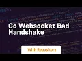 go websocket bad handshake