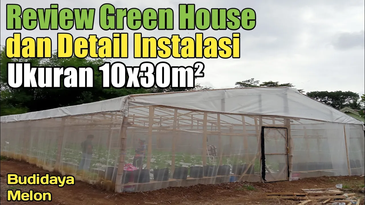 Cara Membuat Green House Bambu Cara Membuat Green House Bambu